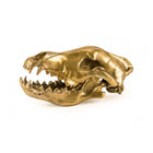 Wunderkammer Wolf Skull
