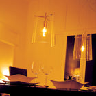 Sera Suspension Light