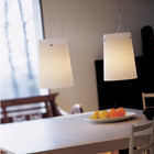 Sera Suspension Light