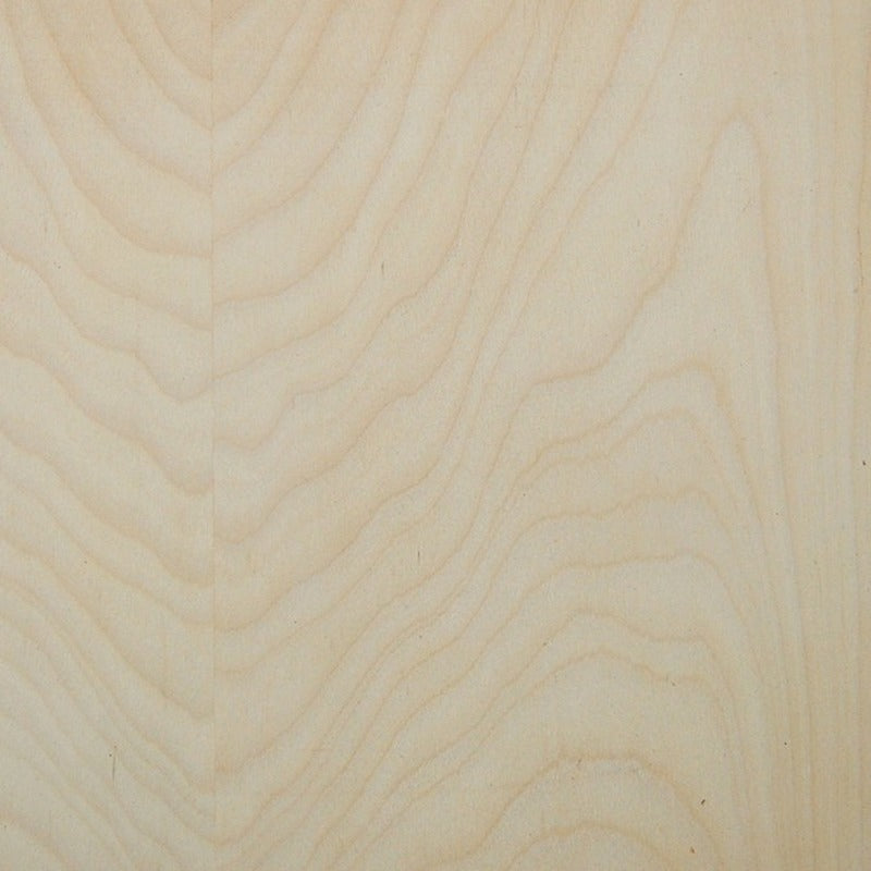 Surface Bed