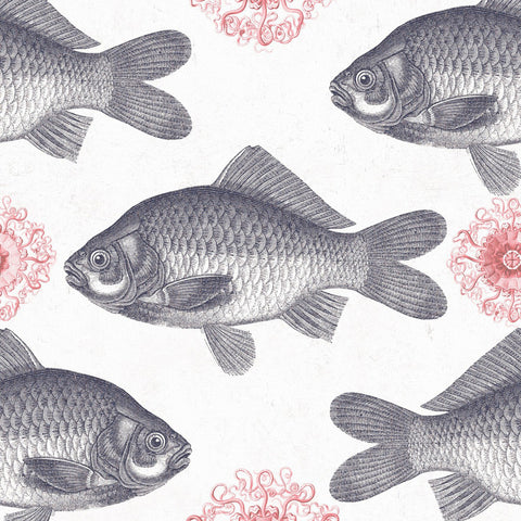 Fish Wallpaper
