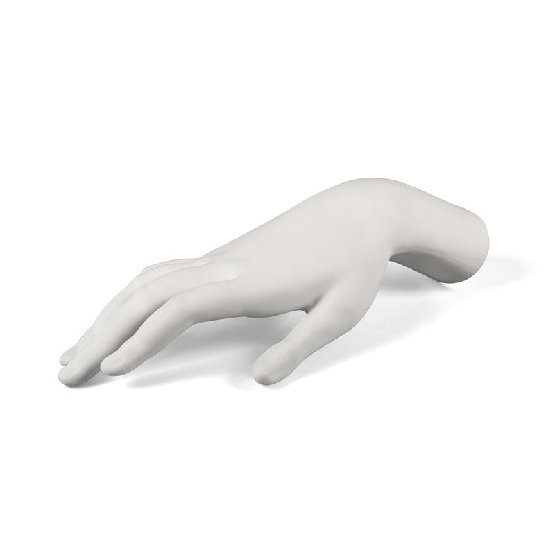Memorabilia Mvsevm Body Part