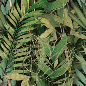Exotic Garden Wallpaper Sample Swatch