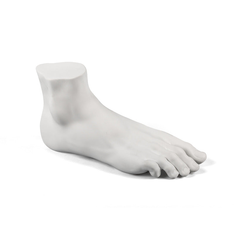 Memorabilia Mvsevm Body Part