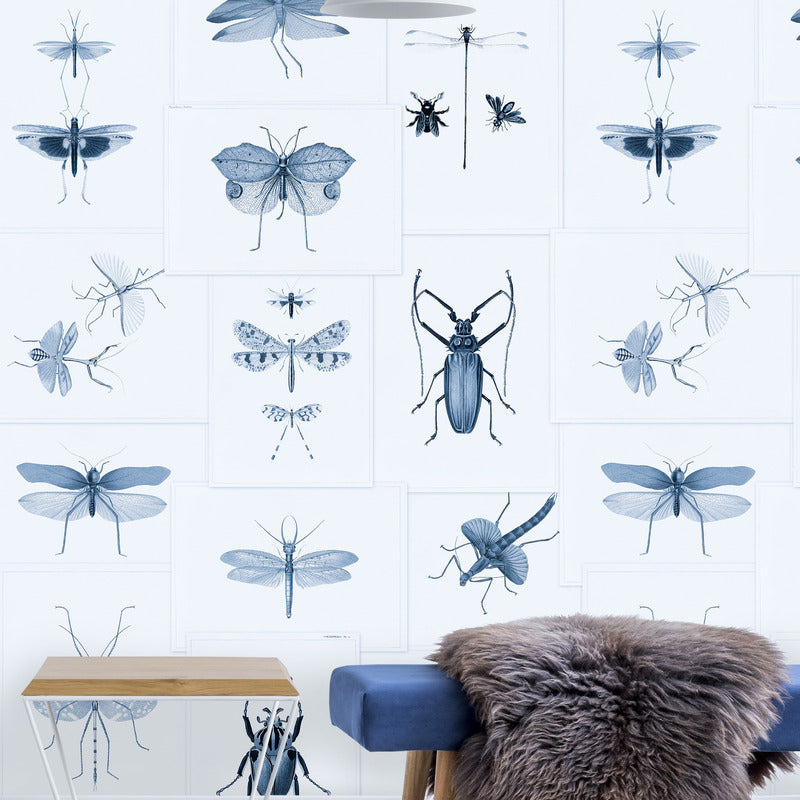 Entomology Wallpaper