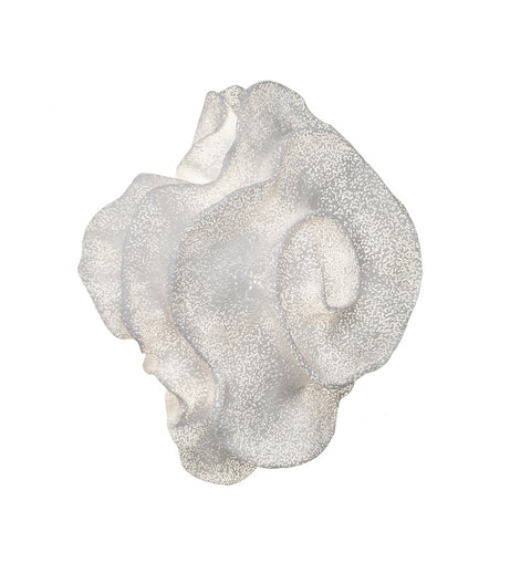 Nevo Wall or Ceiling Light