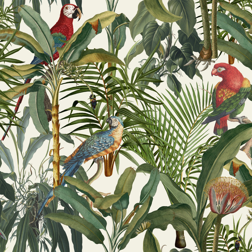 Parrots of Brasil Wallpaper Sample Swatch