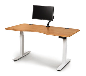 Invigo Standing Desk with Monitor Arm
