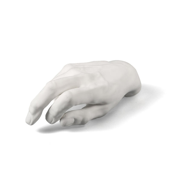 Memorabilia Mvsevm Body Part