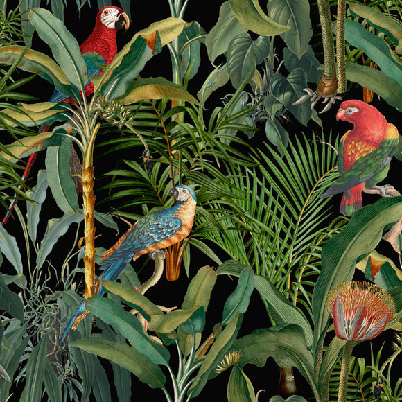 Anthracite Parrots Of Brasil Wallpaper OPEN BOX