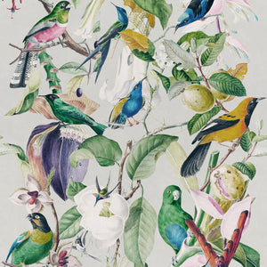 Tropical Birds Wallpaper Sample Swatch