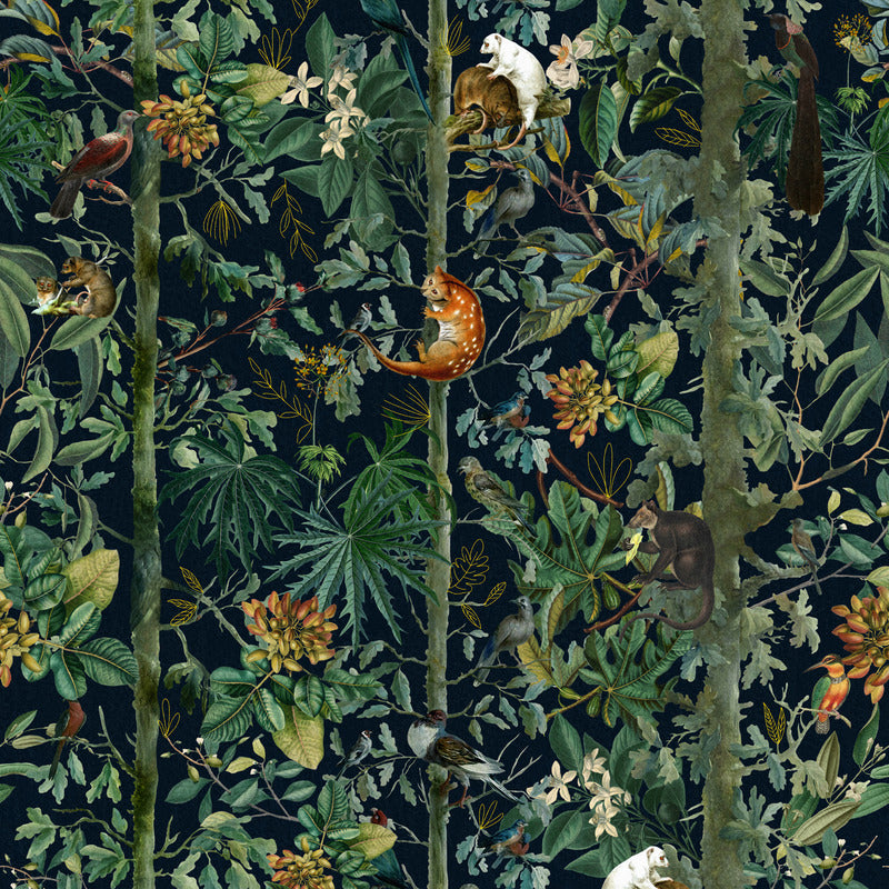 Wildlife of Papua Wallpaper