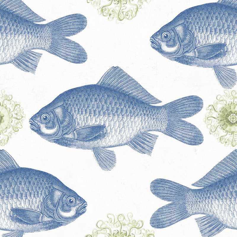 Fish Wallpaper