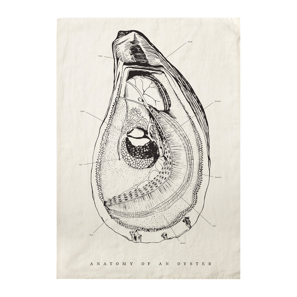 Oyster List Tea Towel (Set of 2)