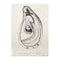 Oyster List Tea Towel (Set of 2)  option Oyster Anatomy