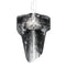 Aria Pendant Light  option Black