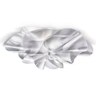 Etoile Ceiling Wall Sconce