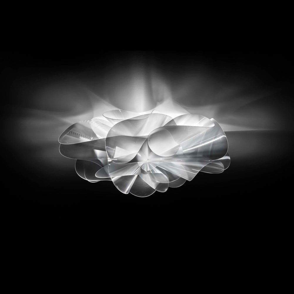Etoile Ceiling Wall Sconce