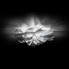 Etoile Ceiling Wall Sconce