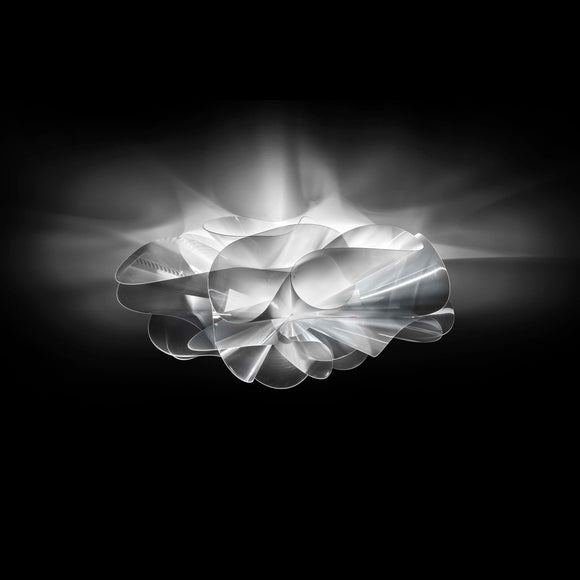 Etoile Ceiling Wall Sconce