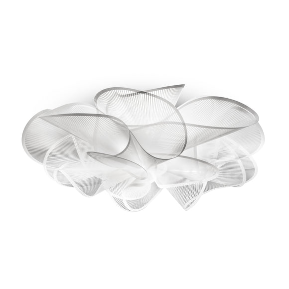 La Belle Etoile Wall / Ceiling Light