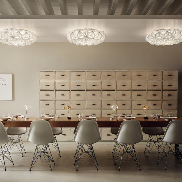 La Vie Wall/Ceiling Light