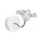 Lafleur Applique Wall Light  option Prisma