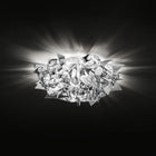 Veli Wall / Ceiling Light