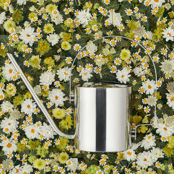 Original Flower Watering Can