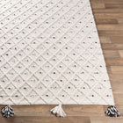 Azalea Indoor/Outdoor High/Low Runner with Tassel Detail