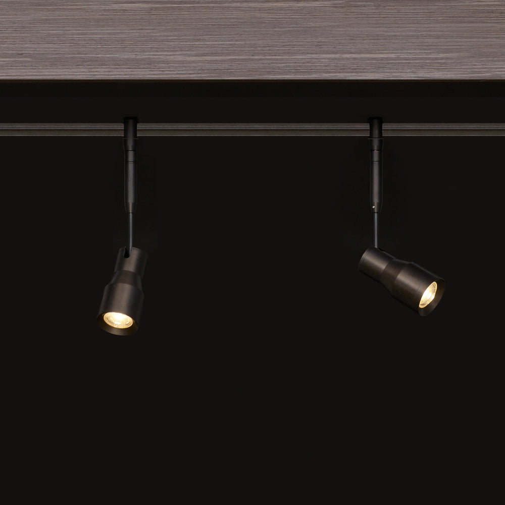 Sean Lavin Ace Task Head Light