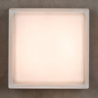 Sean Lavin Boxie Flush Mount