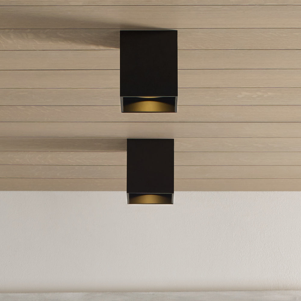 Sean Lavin Exo 6 Flush Mount