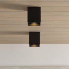 Sean Lavin Exo 6 Flush Mount