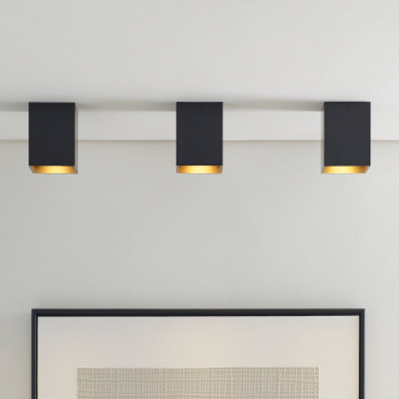 Sean Lavin Exo 6 Flush Mount