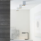 Sean Lavin Exo 6 Flush Mount