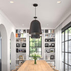 Sean Lavin Fett Pendant Light