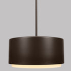 Roton Outdoor Pendant Light