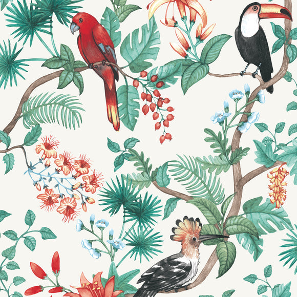 Birds of Paradise Wallpaper