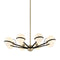 Ace Chandelier  option Eight Lights