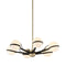 Ace Chandelier  option Six Lights