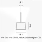 Twiggy Wood Pendant Light