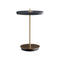 Asteria Move Portable Table Lamp  option Anthracite Grey / Brass