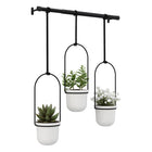 Triflora Hanging Planters and Rod