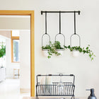 Triflora Hanging Planters and Rod