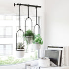 Triflora Hanging Planters and Rod