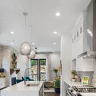 Urchin Pendant Light