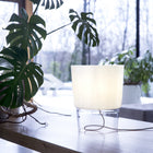 Vestale Table Lamp