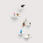 Corniche Shelf