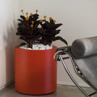 Cilindro Planter with Self-Watering System